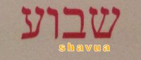 shavua - a week